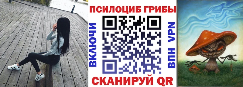 хочу   Вилюйск  Псилоцибиновые грибы мицелий 